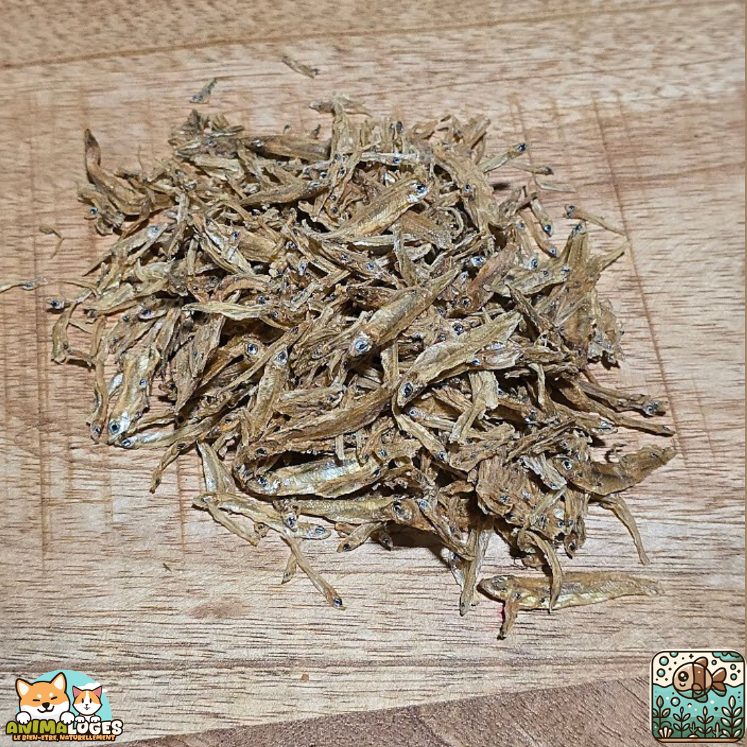Mini anchois séchés naturels pour chien et chat – friandises poisson