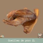 Oreilles de porc XL naturelles pour chiens, idéales pour la mastication