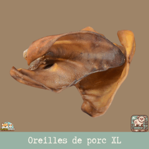 Oreilles de porc XL naturelles pour chiens, idéales pour la mastication