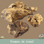Friandises naturelles de poumon de bœuf pour chien, en morceaux déshydratés.