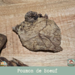 Friandises naturelles de poumon de bœuf pour chien, en morceaux déshydratés.