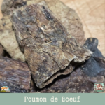 Friandises naturelles de poumon de bœuf pour chien, en morceaux déshydratés.
