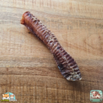 Trachée de bœuf 30 cm naturelle pour chien – friandise à mâcher