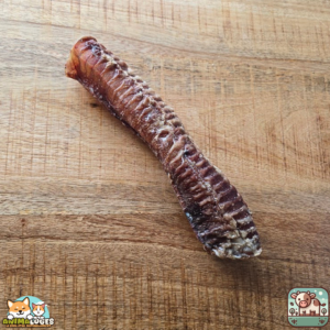 Trachée de bœuf 30 cm naturelle pour chien – friandise à mâcher