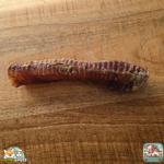 Trachée de bœuf 30 cm naturelle pour chien – friandise à mâcher