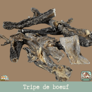 Tripe de bœuf séchée pour chiens, friandise naturelle et savoureuse.