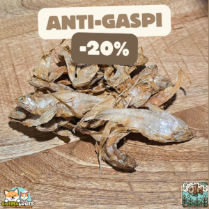 Anchois dorés séchés naturels pour chien – friandises poisson