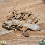 Anchois dorés séchés naturels pour chien – friandises poisson