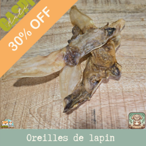 Oreille de lapin sans poil