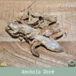 Anchois doré, une friandises naturelles pour chien ou chat, appétante et riche en oméga-3