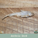 Anchois doré, une friandises naturelles pour chien ou chat, appétante et riche en oméga-3