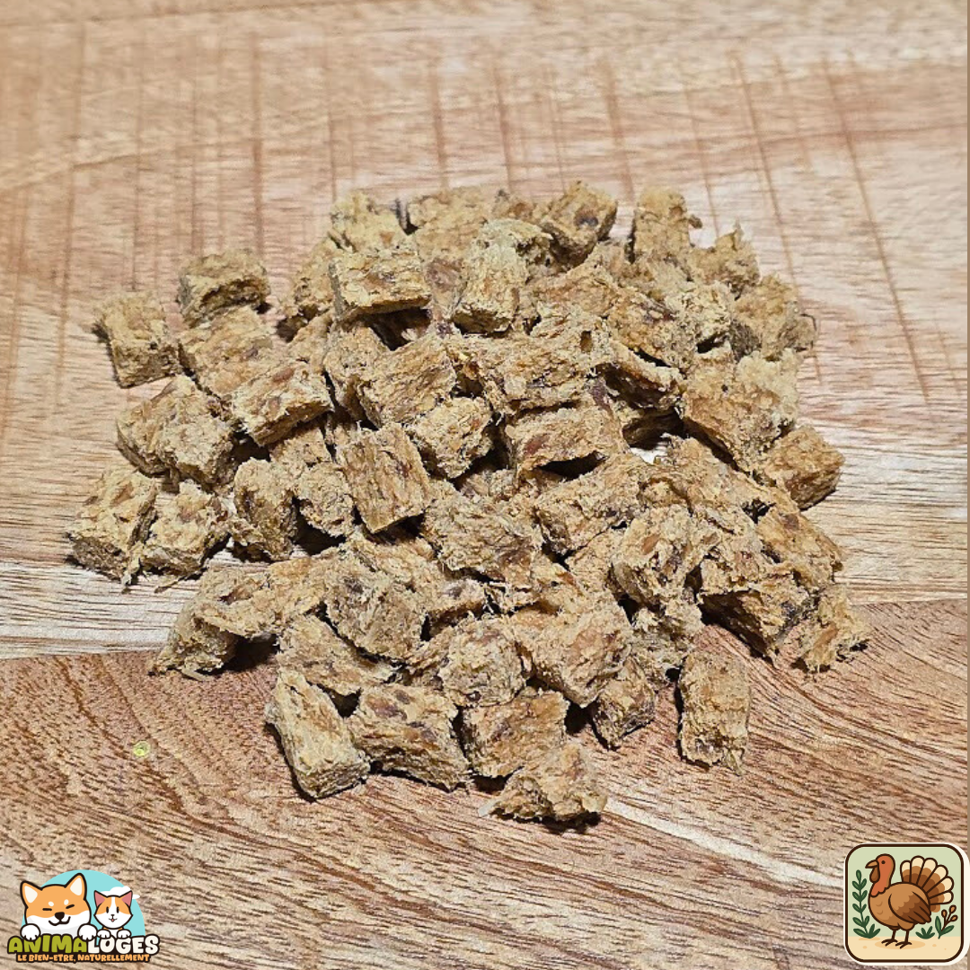Cubes de dinde naturels pour chien – friandises de dressage
