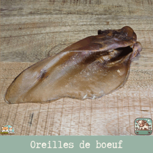 Oreille de bœuf sans poil posée sur une surface rustique, mettant en valeur sa texture et sa taille.