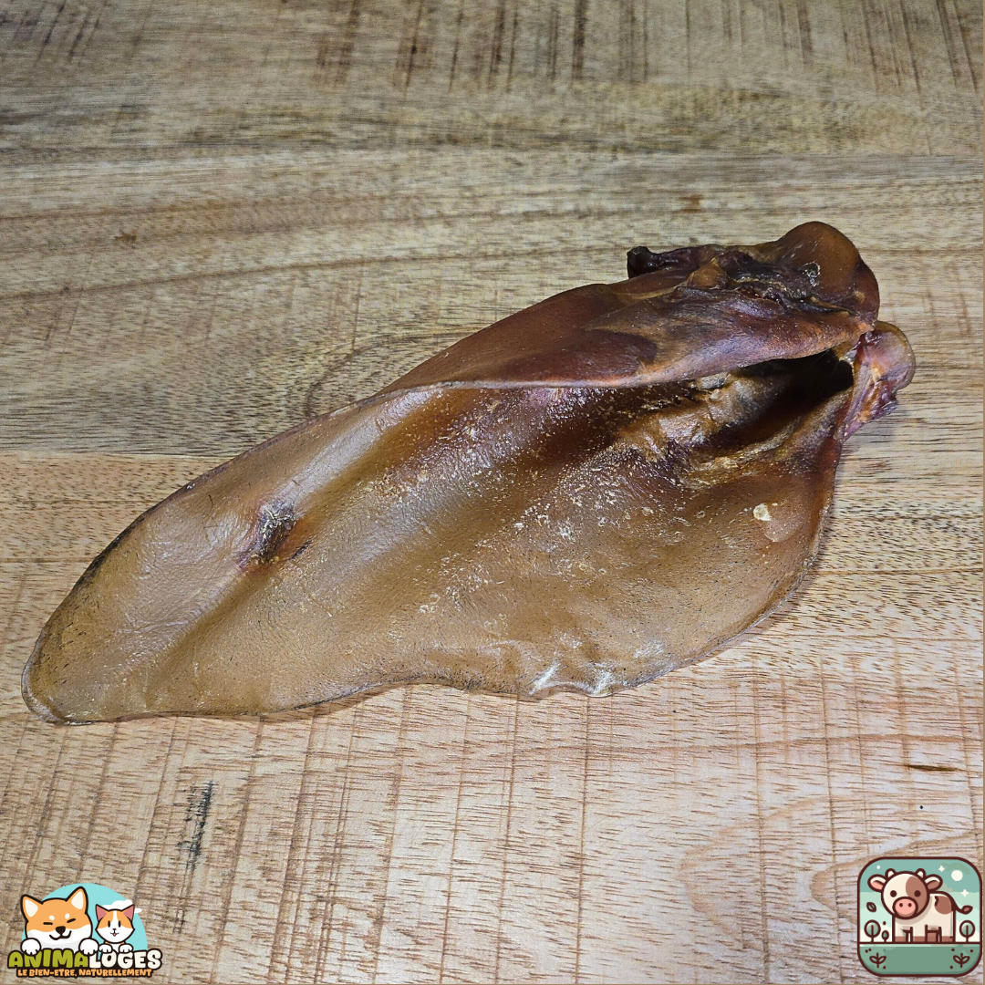 Oreilles de bœuf sans poils naturelles pour chien – friandises à mâcher