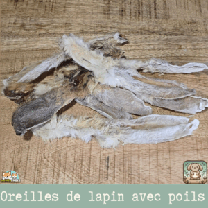 Oreilles de lapin avec poil étalées sur une surface rustique, montrant leur texture naturelle et la présence de poils.