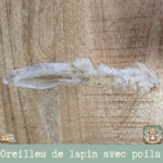 Oreilles de lapin avec poil étalées sur une surface rustique, montrant leur texture naturelle et la présence de poils.