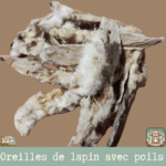 Oreilles de lapin avec poil étalées sur une surface rustique, montrant leur texture naturelle et la présence de poils.