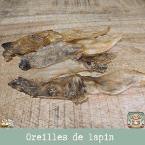 Oreilles de lapin sans poil exposées sur une surface en bois, mettant en valeur leur texture naturelle et leur couleur claire.