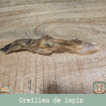 Oreilles de lapin sans poil exposées sur une surface en bois, mettant en valeur leur texture naturelle et leur couleur claire.