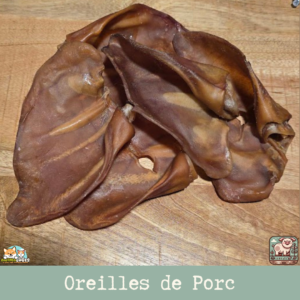 Oreille de porc naturelle posée sur une surface en bois, montrant sa texture et sa taille.