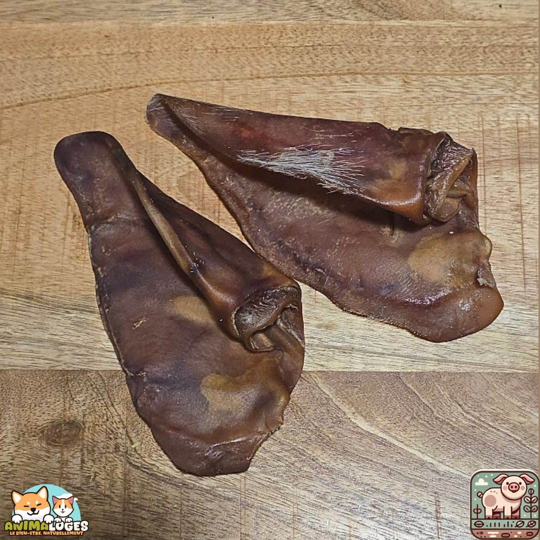 Oreilles de porc naturelles pour chien – friandises à mâcher