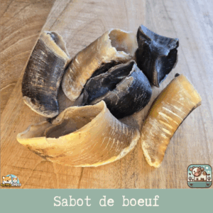Sabot de bœuf naturel posé sur une surface en bois, montrant sa texture robuste.