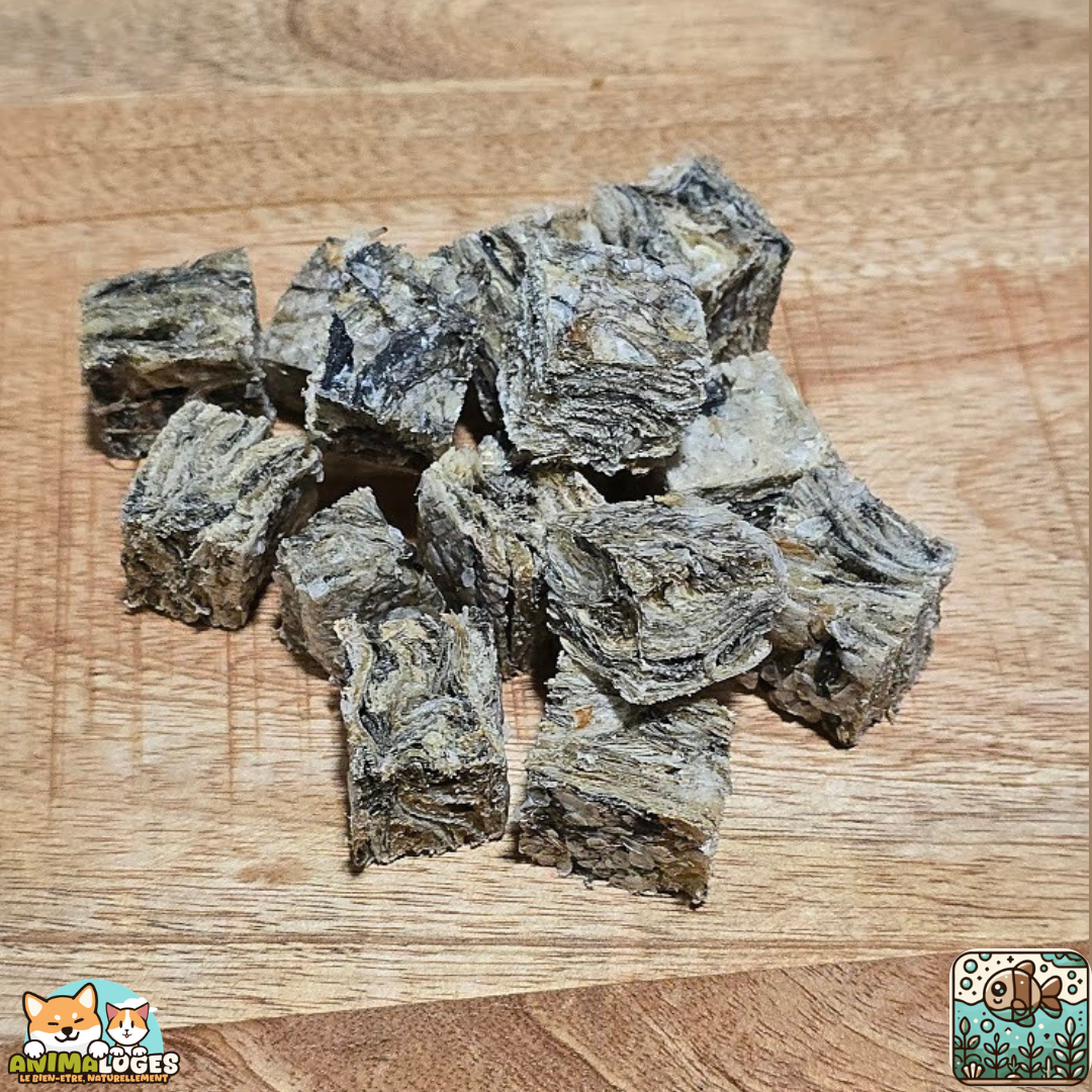 Offrez à votre chien une friandise naturelle saine avec les Cubes de peau de morue pour chien. Élaborés à partir de peau de morue 100 % naturelle, ces cubes sont soigneusement séchés afin de préserver leurs qualités nutritionnelles, sans additifs ni conservateurs. Grâce à leur format en petits cubes, ces friandises sont parfaitement adaptées aux séances de dressage, aux récompenses rapides ou aux jeux d’intelligence. Leur taille pratique permet de récompenser votre chien efficacement sans interrompre le rythme de l’apprentissage. La peau de morue est naturellement riche en protéines et pauvre en matières grasses, ce qui en fait une friandise saine et digeste. Elle est également reconnue pour sa richesse en acides gras oméga-3, contribuant à : une peau saine un pelage brillant le soutien du système immunitaire le bien-être général du chien La texture légèrement croustillante des cubes de peau de morue offre une mastication agréable, tout en restant facile à consommer pour les chiens de toutes tailles. Mono-protéine et très digestes, ces friandises conviennent également aux chiens sensibles ou présentant des intolérances alimentaires. Chez Anima-Loges, nous sélectionnons des friandises naturelles afin d’offrir plaisir, nutrition et bien-être à votre chien. À donner avec modération, avec de l’eau fraîche toujours à disposition.