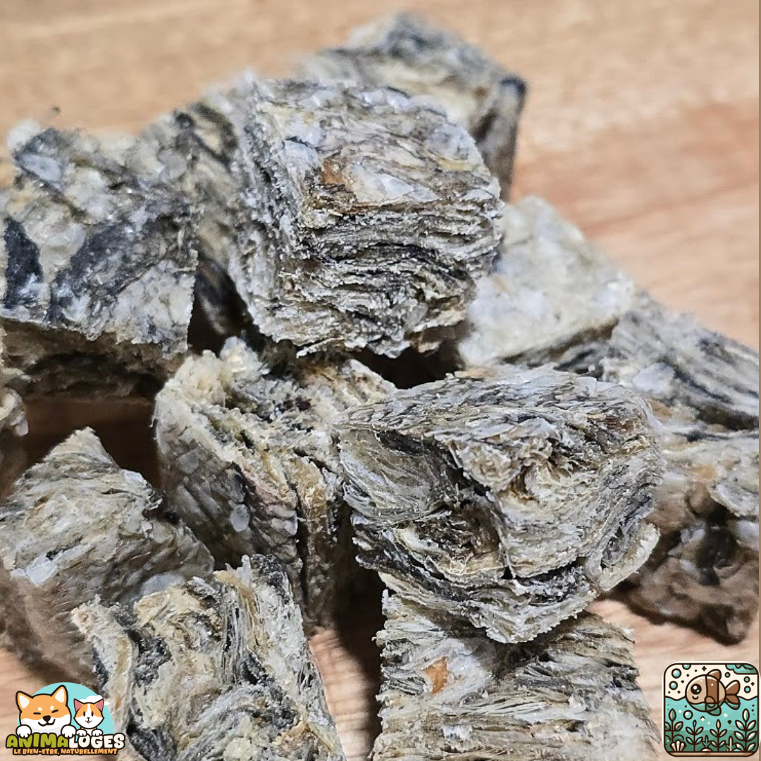 Cubes de peau de morue naturels pour chien – friandises poisson