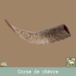 Corne de chèvre naturelle pour chien – friandise à mâcher en tailles S et M
