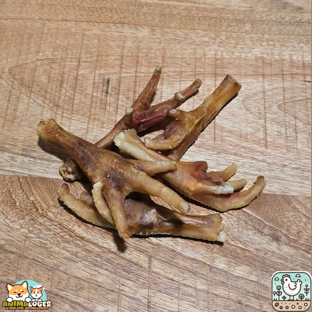 Pattes de poulet séchées naturelles pour chien – friandise à mâcher