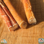 Nerf de bœuf 15 cm naturel pour chien – friandise à mâcher longue durée