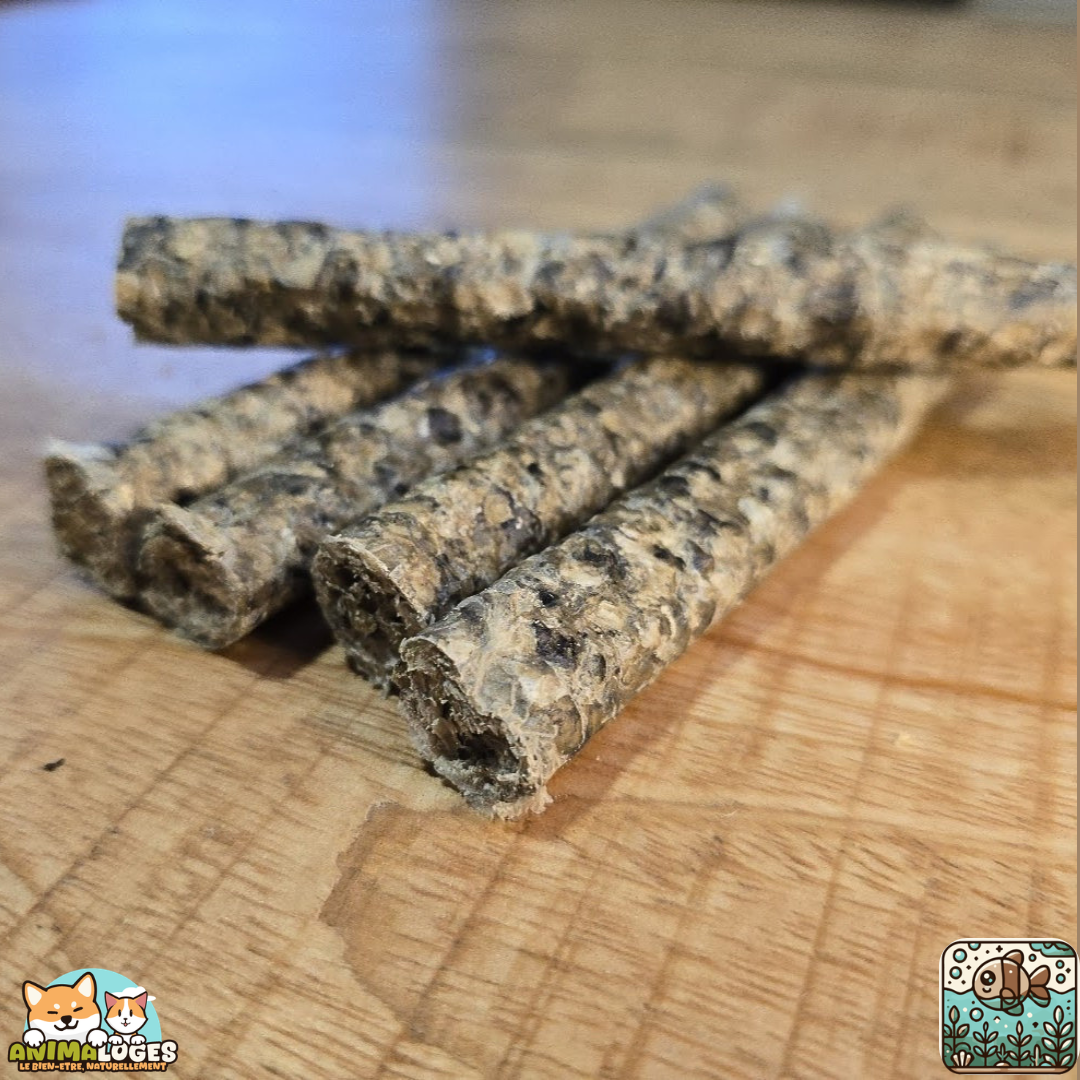 Stick de morue naturel pour chien – friandise poisson