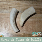 Noyau de corne de buffle pour chien, friandise de mastication et 100% naturelle.