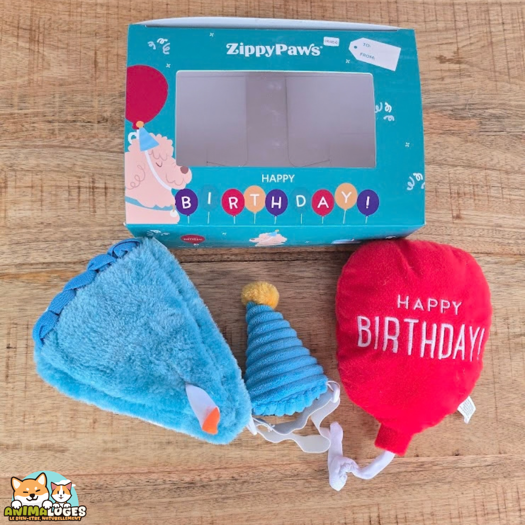 ZippyPaws Pup Birthday Box coffret anniversaire pour chien avec gâteau ballon et chapeau