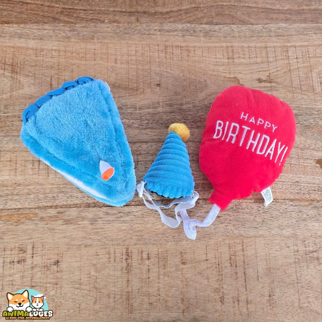 ZippyPaws Pup Birthday Box coffret anniversaire pour chien avec gâteau ballon et chapeau