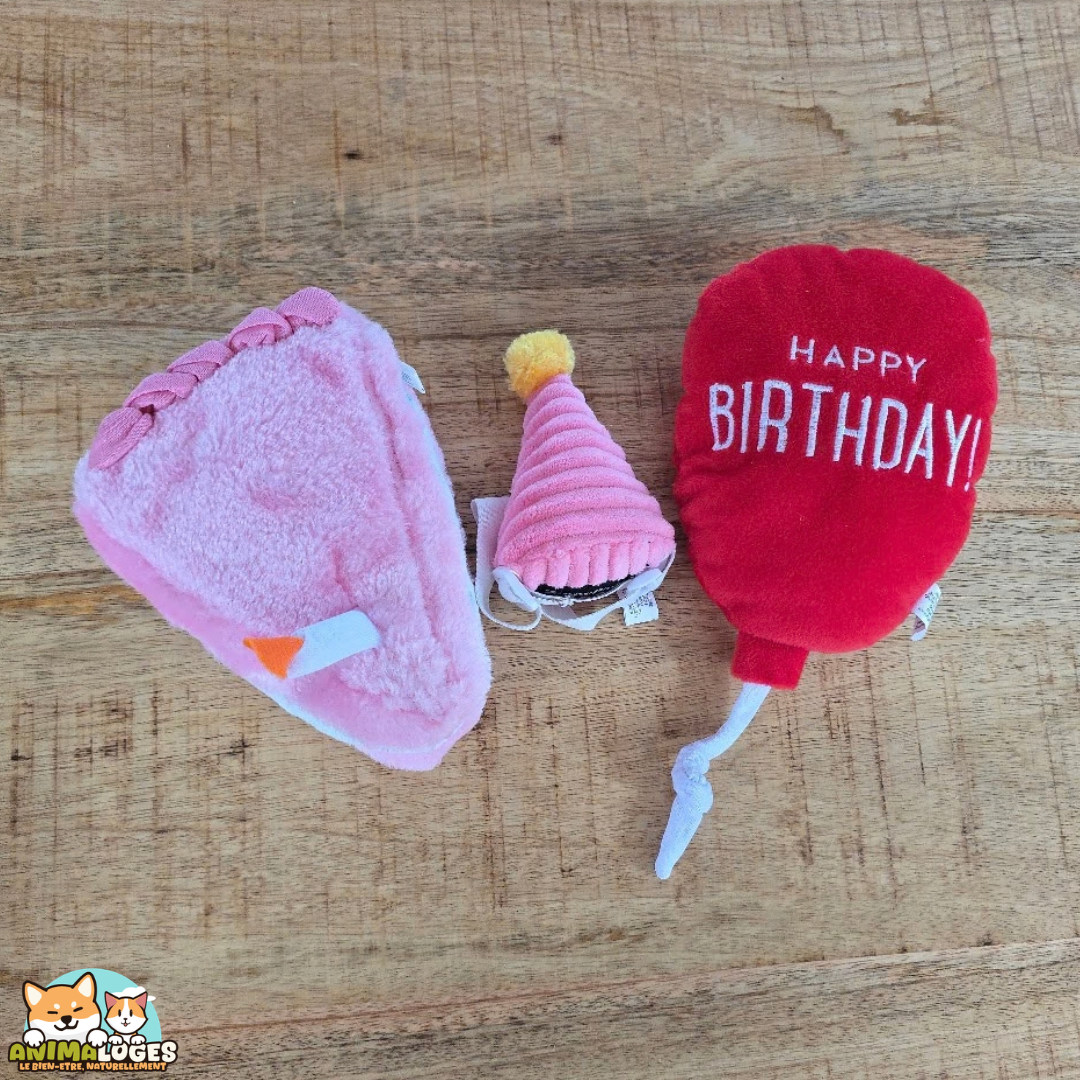 ZippyPaws Pup Birthday Box coffret anniversaire pour chien avec gâteau ballon et chapeau