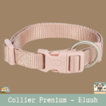 Collier réglable Premium Trixie pour chien, disponible en plusieurs tailles et couleurs.