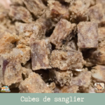 Petit Cube de sanglier, friandises idéale pour le dressage et l'éducation