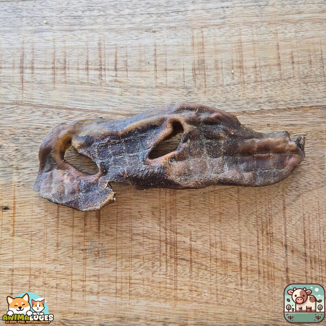 Museaux de bœuf sans poils naturels pour chien – friandises à mâcher