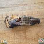 Museaux de bœuf sans poils naturels pour chien – friandises à mâcher