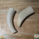 Noyau de corne de buffle naturel pour chien – friandise à mâcher