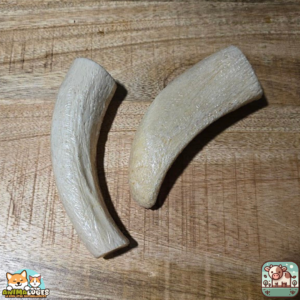 Noyau de corne de buffle naturel pour chien – friandise à mâcher