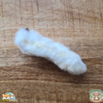 Pattes de lapin avec poils naturelles pour chien – friandise à mâcher