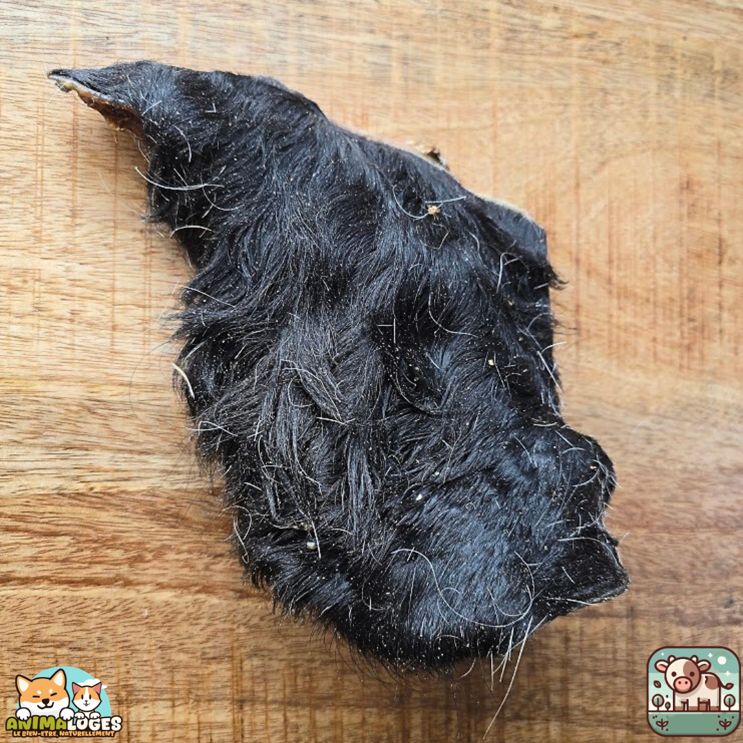 Plaque de peau de bœuf avec poils naturelle pour chien – friandise à mâcher longue durée