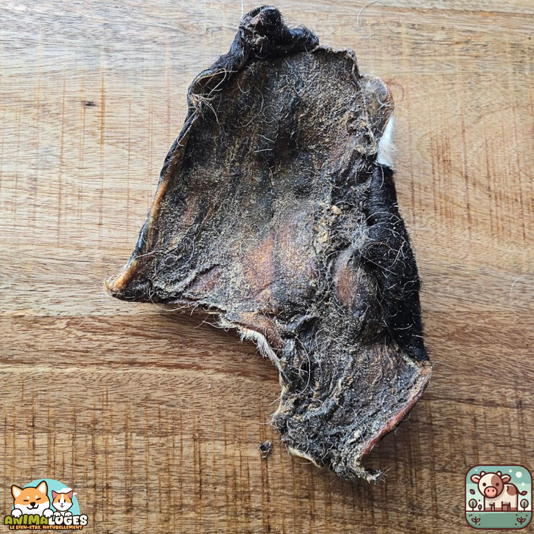 Plaque de peau de bœuf avec poils naturelle pour chien – friandise à mâcher longue durée