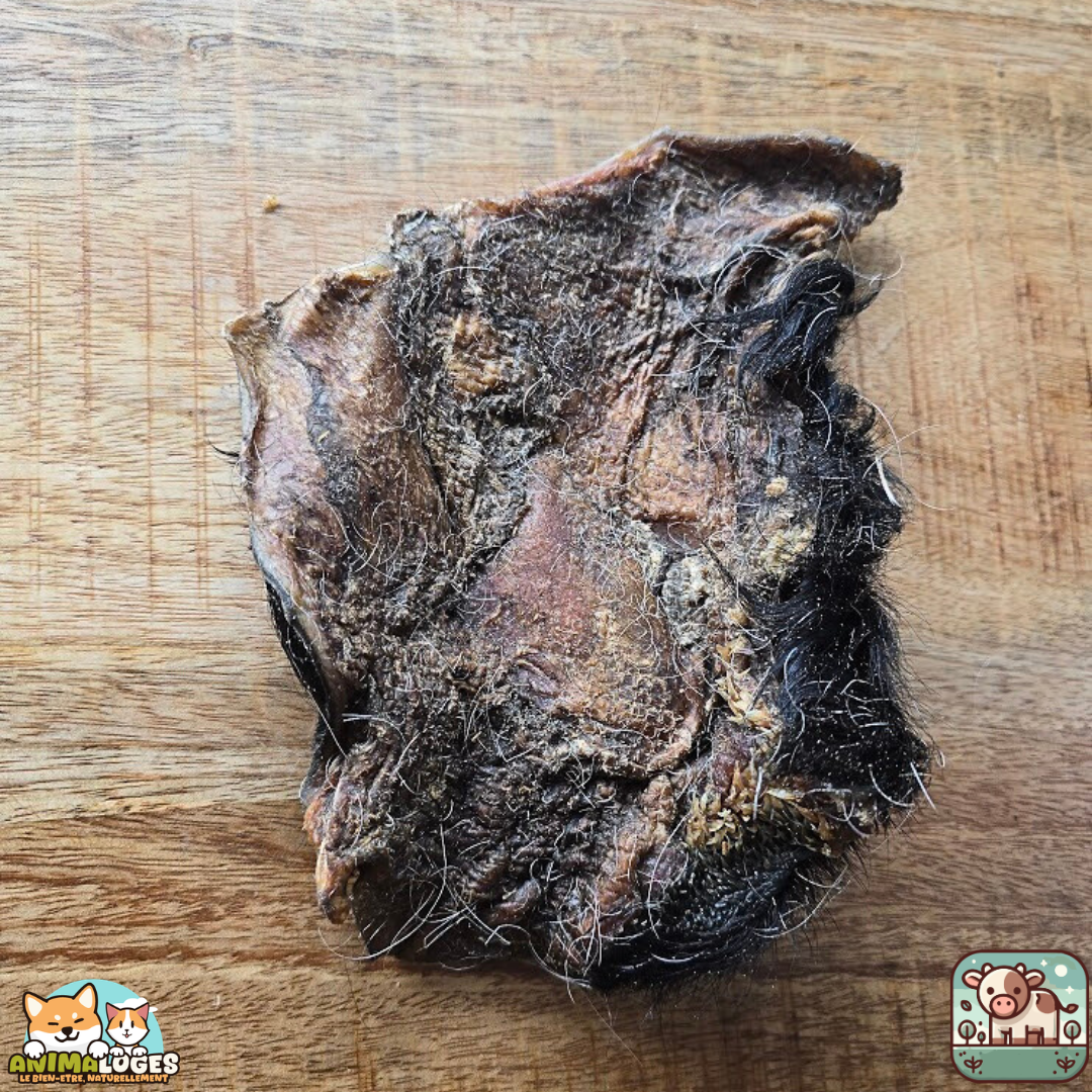 Plaque de peau de bœuf avec poils naturelle pour chien – friandise à mâcher longue durée