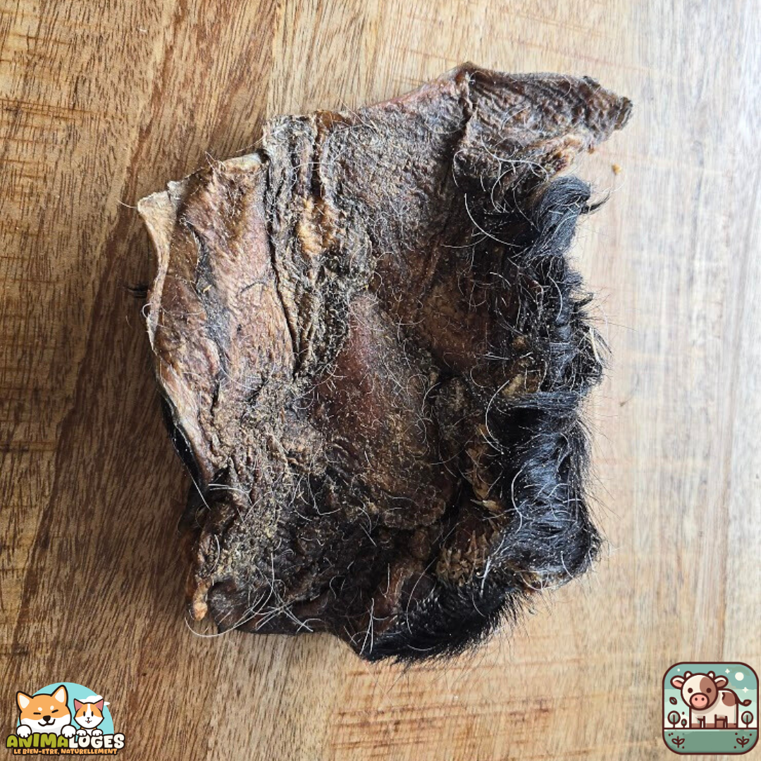 Plaque de peau de bœuf avec poils naturelle pour chien – friandise à mâcher longue durée