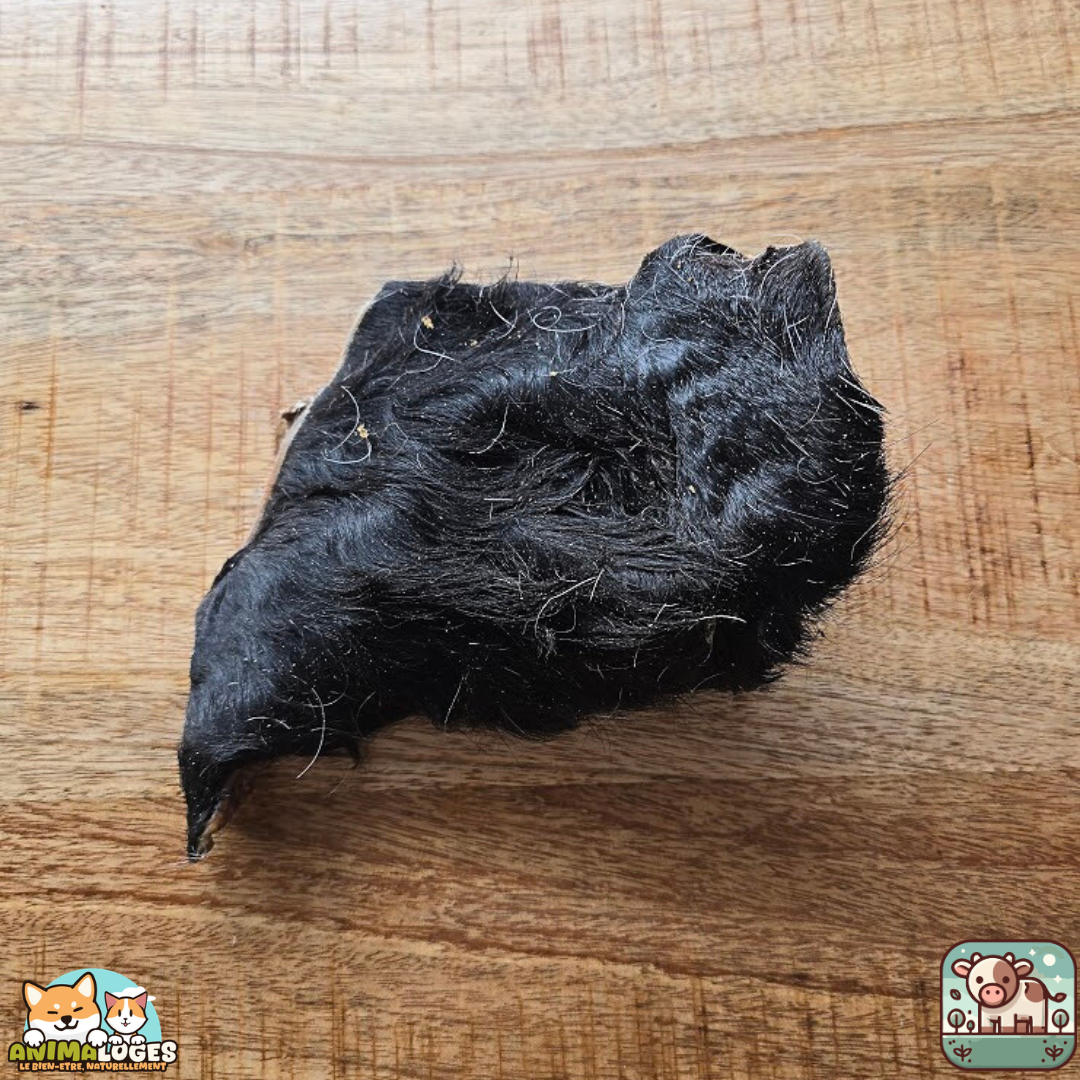 Plaque de peau de bœuf avec poils naturelle pour chien – friandise à mâcher longue durée