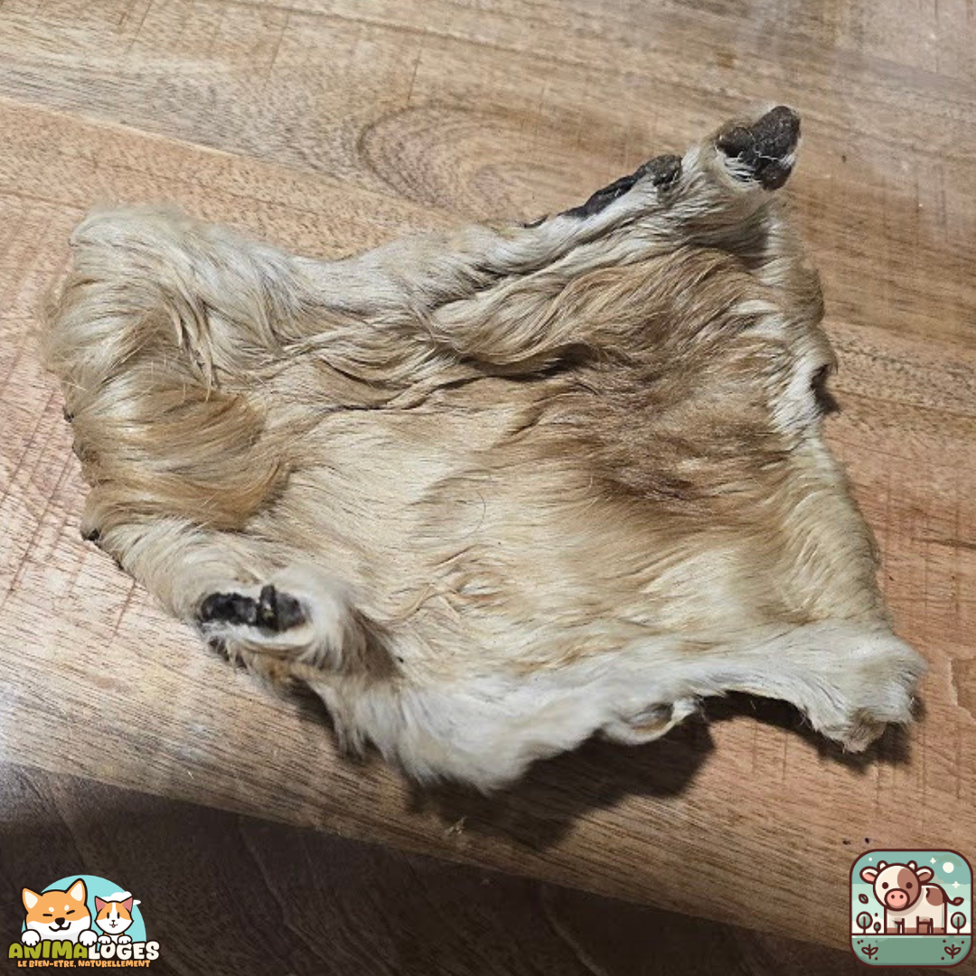 Plaque de peau de bœuf avec poils naturelle pour chien – friandise à mâcher longue durée