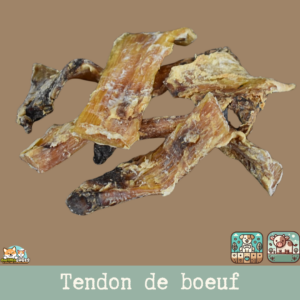 Les tendons de boeuf pour chien, friandises 100% naturelles de mastication gourmande, de moyenne duré.